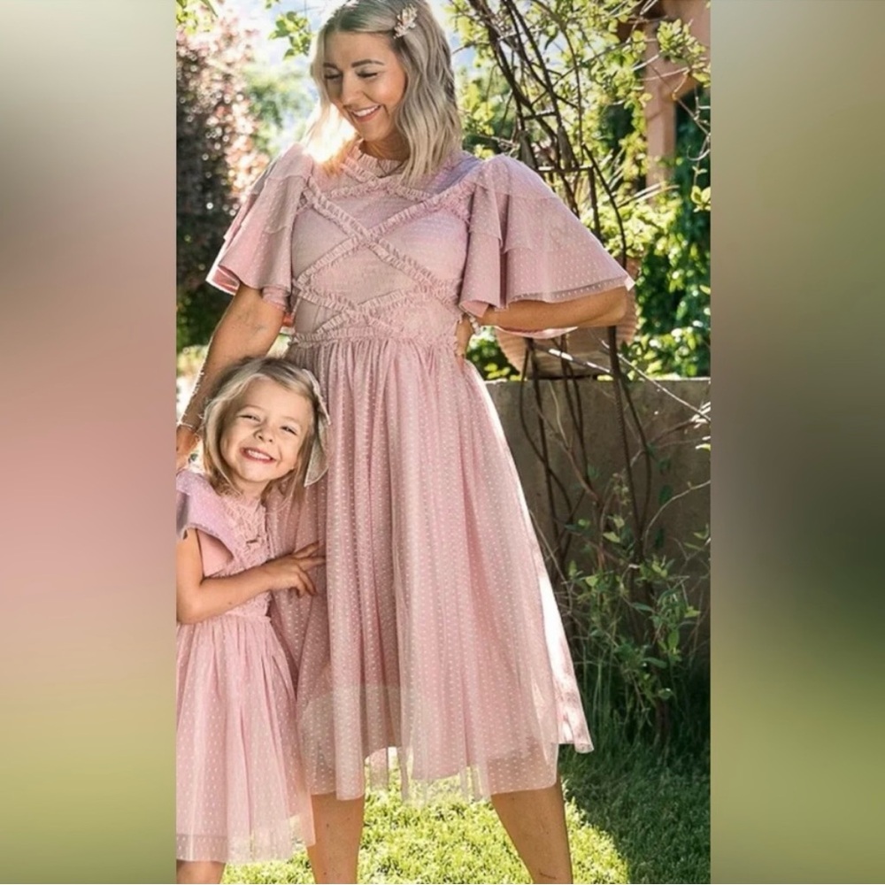 Ivy City Co. Tara Dress in Blush.
